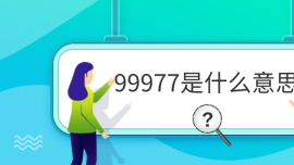 99977ʲô˼