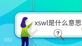 xswlʲô˼