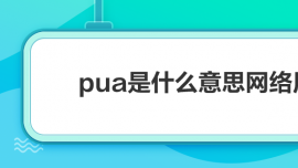 puaʲô˼W(wng)j(lu)Z